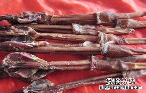 鹿鞭的功效与作用及吃法 鹿鞭的功效与作用吃法百度百科