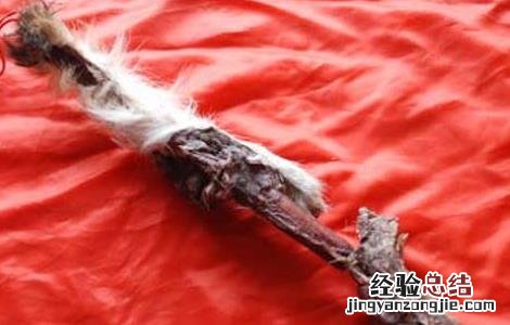 鹿鞭的功效与作用及吃法 鹿鞭的功效与作用吃法百度百科