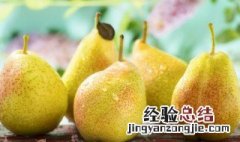 香水梨有什么功效与作用 香水梨有什么功效与作用及禁忌