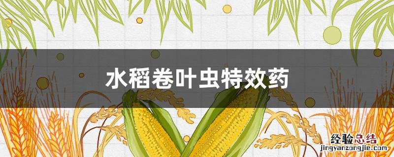 水稻卷叶虫特效药 水稻卷叶虫特效药配方见效快的