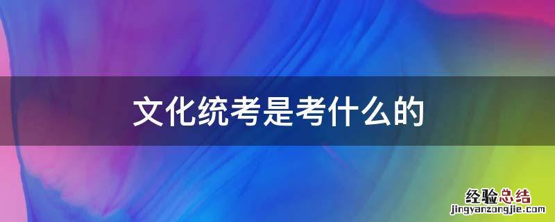 统考文化课 文化统考是考什么的