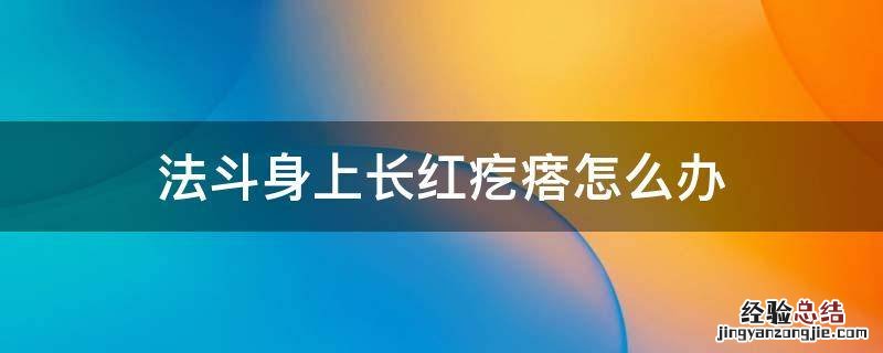 法斗身上长红疙瘩怎么办 法斗全身起红疙瘩