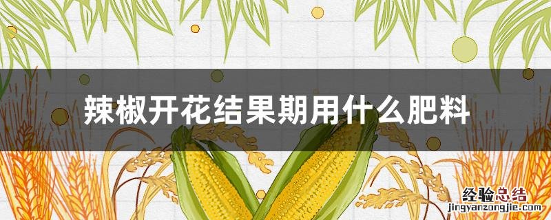 辣椒开花结果期用什么肥料 辣椒开花结果期用什么肥料管理
