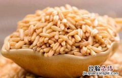 麦芽的功效与作用及禁忌 麦芽的功效与作用