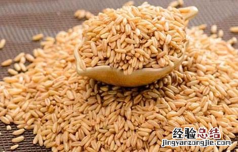 麦芽的功效与作用及禁忌 麦芽的功效与作用