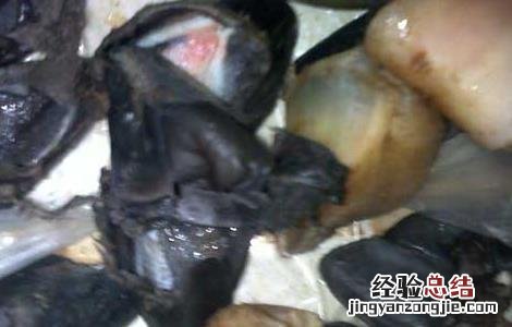 猪蹄甲的功效与作用 猪蹄甲的功效与作用能治什么