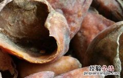 猪蹄甲的功效与作用 猪蹄甲的功效与作用能治什么