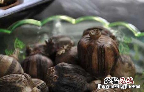 罂粟壳的功效与作用