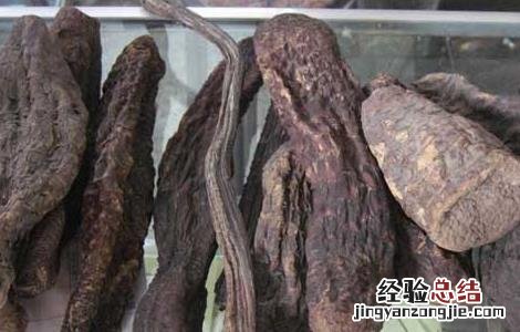 肉苁蓉泡水喝的功效与作用 肉苁蓉泡水喝的功效