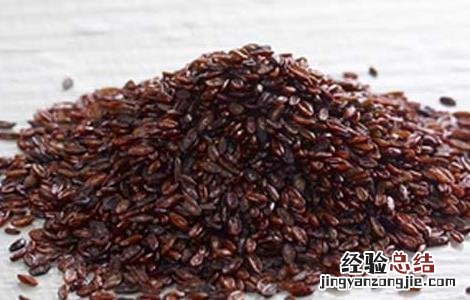 车前子的功效与作用 车前子的功效与作用的功能与主治