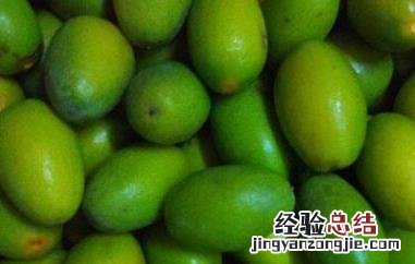甜橄榄果的功效与作用 甜橄榄果的功效与作用及禁忌