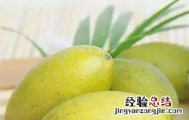 甜橄榄果的功效与作用 甜橄榄果的功效与作用及禁忌