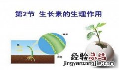 生长素的本质是吲哚丁酸 生长素的本质