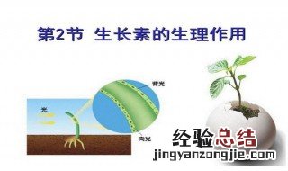 生长素的本质是吲哚丁酸 生长素的本质
