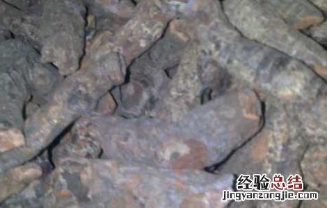 紫草茸的功效与作用 紫草茸的功效与作用图片