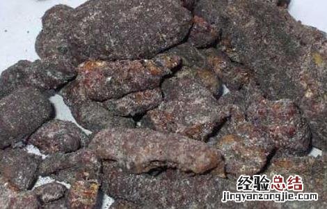 紫草茸的功效与作用 紫草茸的功效与作用图片