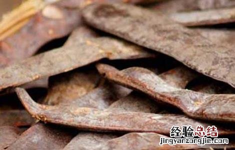 牵牛子的功效与作用 猪牙皂的功效与作用