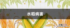 水稻病害种类有哪些 水稻病害