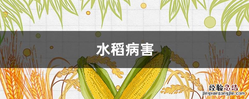 水稻病害种类有哪些 水稻病害