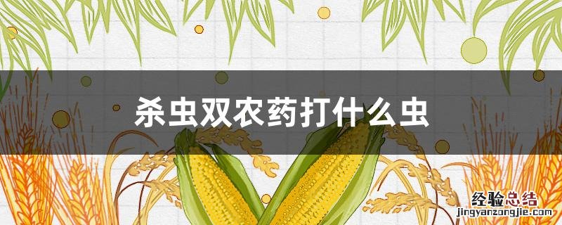 菌虫双杀农药 杀虫双农药打什么虫