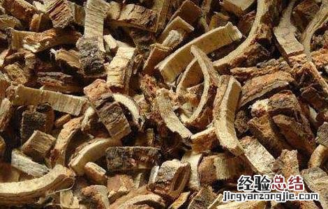 柘木的功效与作用及禁忌 柘木的功效与作用