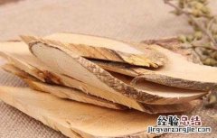 柘木的功效与作用及禁忌 柘木的功效与作用