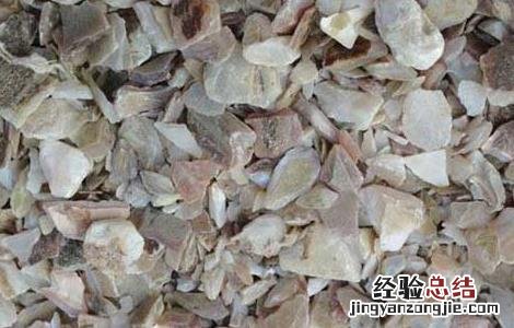 珍珠母的功效与作用与主治 珍珠母的功效与作用