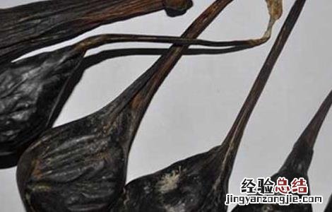 熊胆的功效与作用吃法和禁忌 熊胆的功效与作用