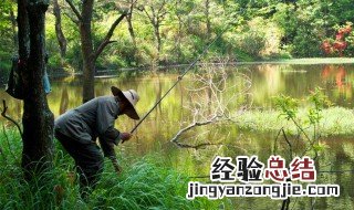 钓鱼有水草怎么办 下文教你