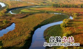 地球之肾是什么生态系统 地球之肾是指什么