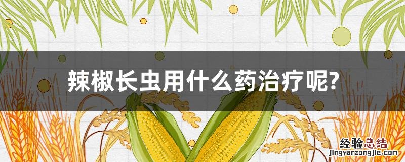 辣椒长虫用什么药治疗呢? 辣椒苗长虫子用什么药