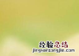 酸浆图片功效作用 酸浆图片