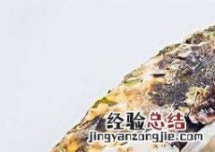 生蚝对男人的功效与作用 生蚝对男性的功效与作用