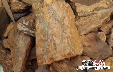 樟树皮的功效与作用 樟树皮的功效与作用一次吃多久?