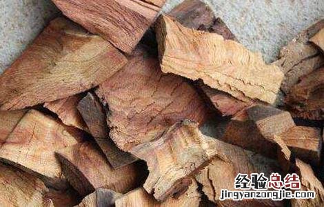 樟木的功效与作用 中药樟木的功效与作用
