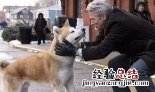 日本忠犬八公的故事 电影 日本忠犬八公电影叫什么