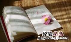 鲁滨逊漂流记是一部什么小说 你有看过吗
