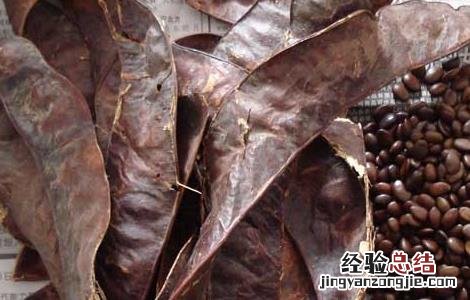 皂荚的功效与作用及毒副作用 皂荚的功效与作用