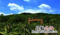 种植园农业的分布地区和特点 种植园农业的区位因素