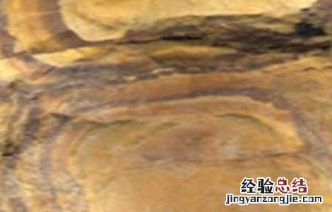 禹余粮的功效与作用余 禹余粮的功效与作用