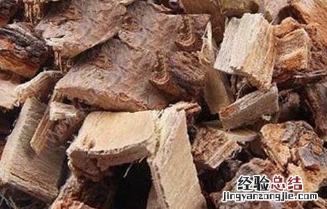 榆白皮的副作用 榆白皮的功效与作用