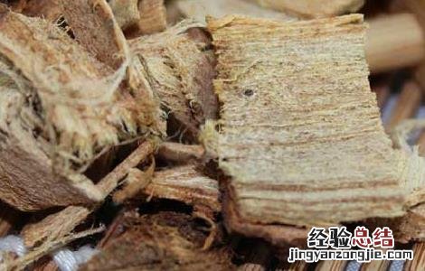 榆白皮的副作用 榆白皮的功效与作用