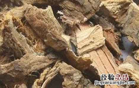 榆白皮的副作用 榆白皮的功效与作用