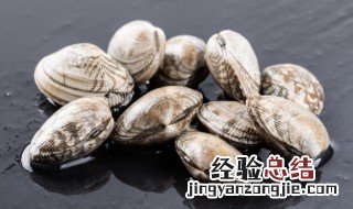 火腿蛤蜊豆腐汤怎么做