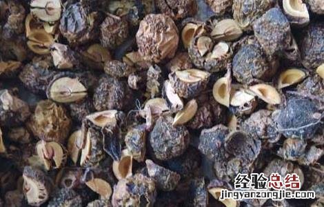 余甘子的功效与作用 余甘子的功效与作用和用量