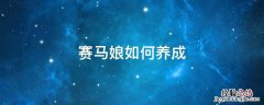 赛马娘如何养成 赛马娘怎么养成