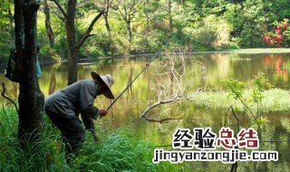 蚯蚓钓什么鱼 下文为你解答