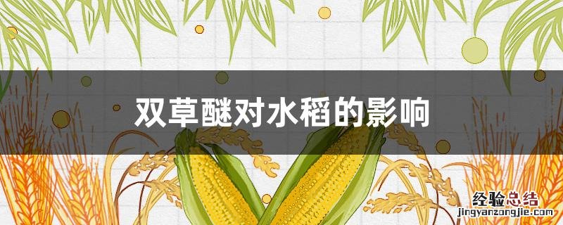 双草醚对糯稻的要害 双草醚对水稻的影响