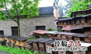 蜜蜂怎么分箱视频 蜜蜂怎么分箱