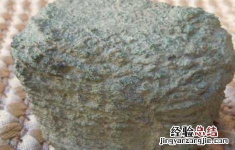 象皮的功效与作用有哪些 象皮的功效与作用